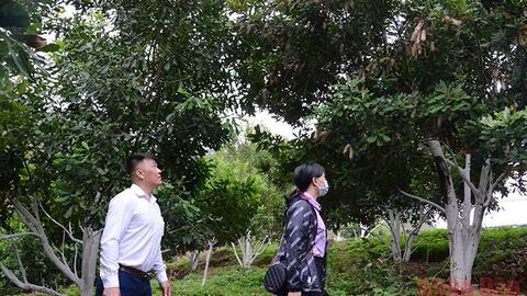 Phát triển nhanh, bền vững vùng trung du và miền núi Bắc Bộ - Bài 2:Phát triển bền vững, đúng quy hoạch