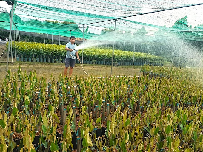 Nông nghiệp Bến Tre tập trung 2 mũi nhọn, kinh tế vườn và kinh tế biển