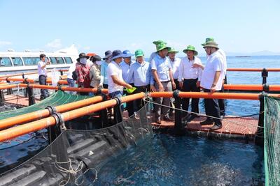 Tiến tới Đại hội XIV của Đảng: Những Nghị quyết mang tính đột phá chiến lược