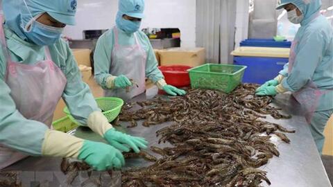 Giá trị xuất siêu nông, lâm, thủy sản tăng gần 87% trong 2 tháng