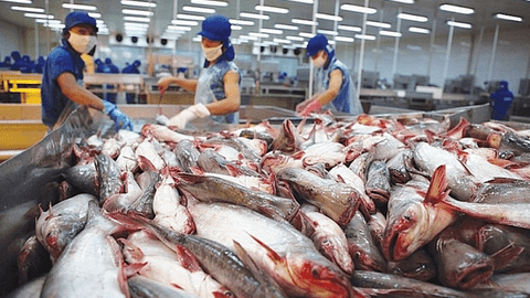 Xuất khẩu thủy sản tăng mạnh 2 tháng đầu năm
