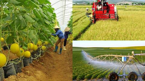 Phát triển nông nghiệp, nông dân, nông thôn theo định hướng Đại hội XIII của Đảng