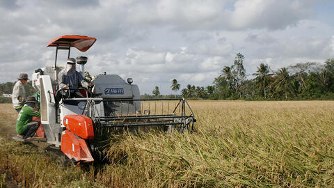 Phát triển bền vững vùng đồng bằng sông Cửu Long - Bài 1