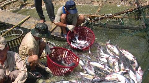 Thành phố Cần Thơ thúc đẩy phát triển kinh tế tập thể