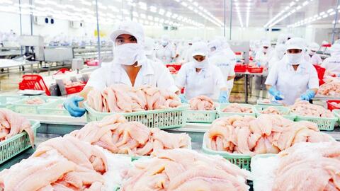 Xuất khẩu cá tra tăng trưởng mạnh mẽ