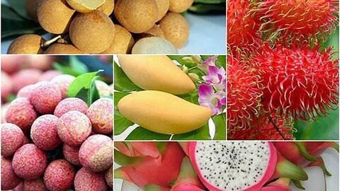 Điểm tên những thách thức từ các thị trường xuất khẩu nông sản năm 2023