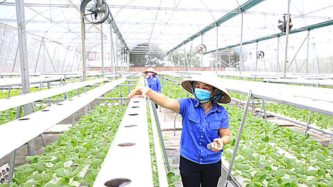 Đẩy mạnh chuyển đổi số trong nông nghiệp