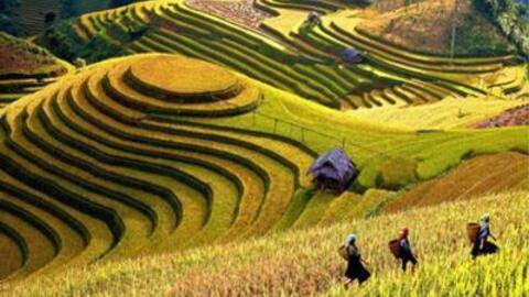 Hướng tới mục tiêu phát triển kinh tế xanh, kinh tế bền vững tại vùng trung du và miền núi phía Bắc đến năm 2030