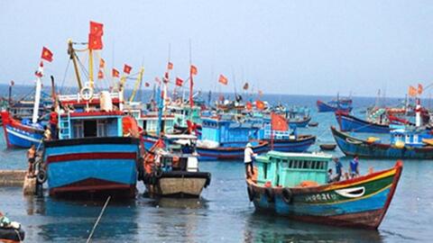 Quy hoạch bảo vệ và khai thác nguồn lợi thủy sản bền vững, phù hợp với yêu cầu hội nhập quốc tế