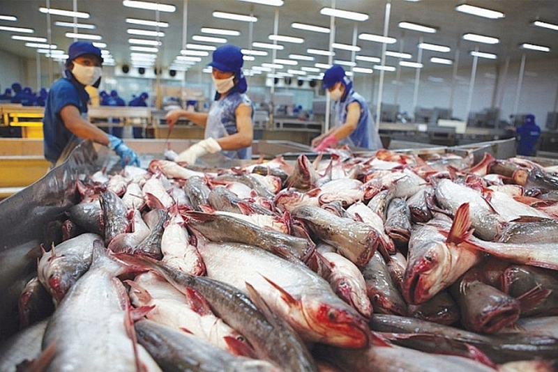 Xuất khẩu cá tra được giá cao