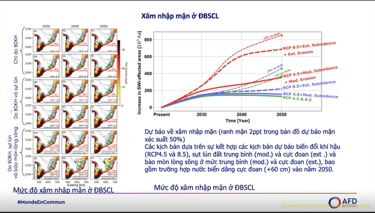 Đồng bằng sông Cửu Long sẽ bị nhấn chìm nếu không dừng khai thác nước ngầm - Ảnh 1