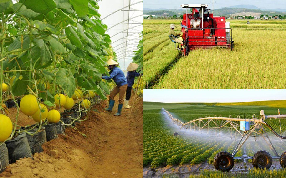 Phấn đấu đến 2025 cả nước có trên 3.000 hợp tác xã ứng dụng công nghệ cao