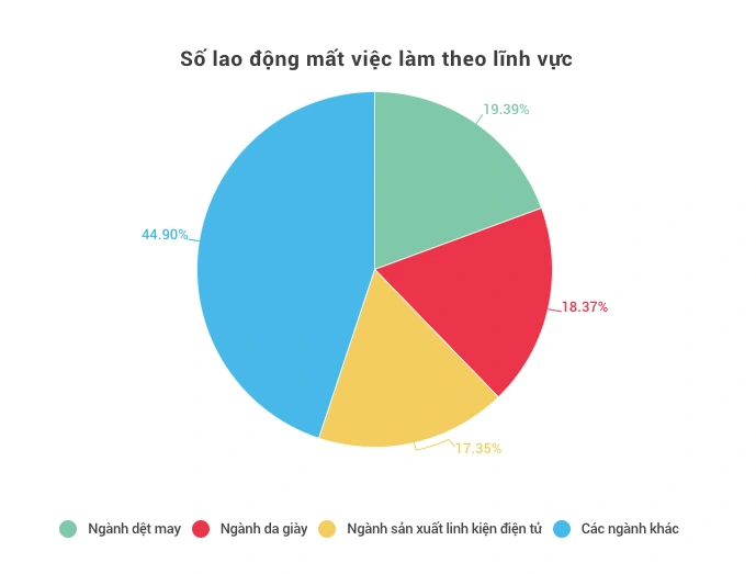 Thị trường lao động trong bước phục hồi… dè dặt - 5