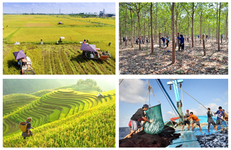 Sản xuất nông nghiệp đang thuận lợi.