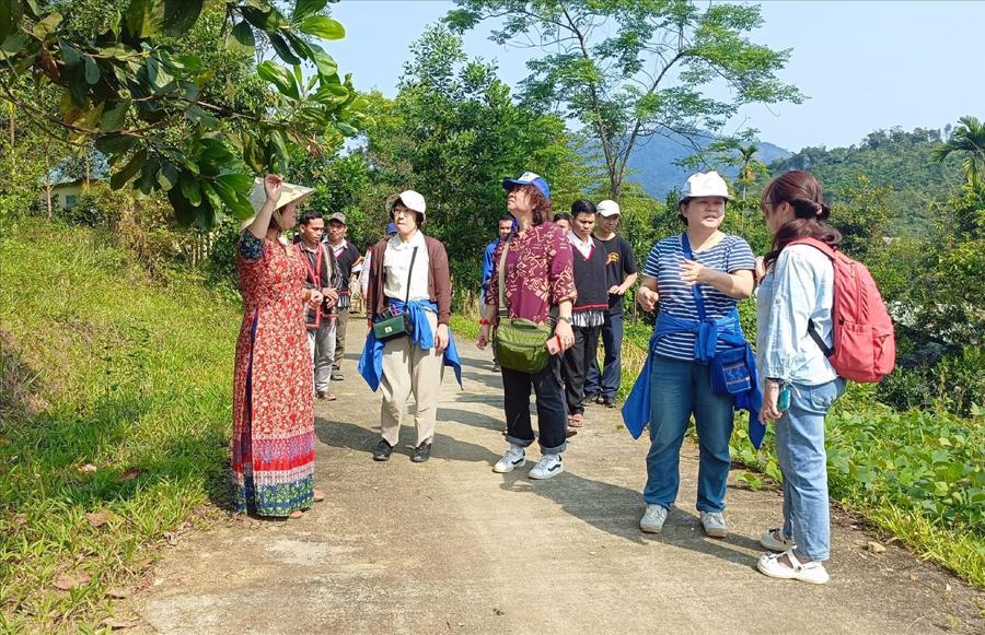 Phát triển du lịch sinh thái gắn với dược liệu: Cơ hội tạo ra một ngành kinh tế "lai" - Ảnh 2