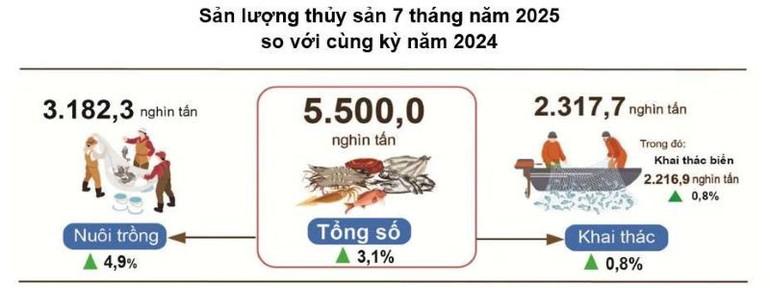 ts725.jpg